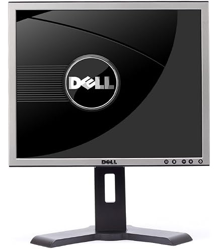 Amazon.com: Dell 1907FPT Black 19