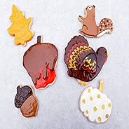 Your Solutions - 6 Hand Decorated Shortbread Cookies Subscription Box