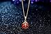 Red & Black Enamel 14K Gold Plated Ladybug Pendant With 16