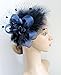 Cizoe Women's Fascinators Hat Hair Clip Feather Wedding Headware Bridal 1920s Headpiece(1-d.Blue)