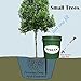 Tree I-V 6-Pk Original Base Root Feeder Watering System - Durable Self-Supported 5-Gal Reservoir with No-Hands Filling - Water 6 Trees in 6 Minutes - Weekly