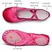 MSMAX Ballet Shoes for Girls Toddler Shoes Rose Dance Slippers for Party 12 M US Little Kid