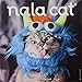 Nala Cat 2019 Wall Calendar by 