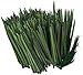 Panacea Products 60206 4