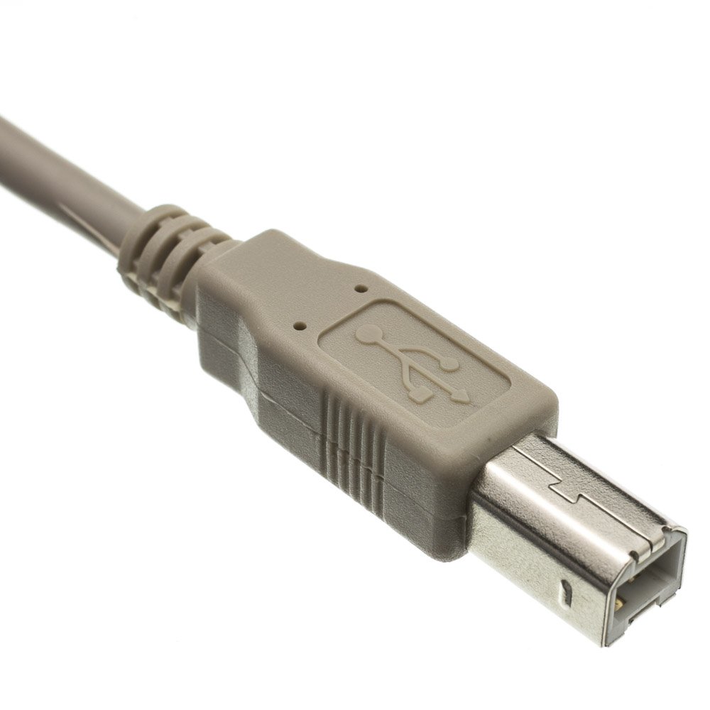 Коннектор 2 usb 2. Micro usb type b. Юсб тип б. Usb 2. 0 type a female to type b male.