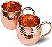 Copper Moscow Mule Mugs Delicious Sphere with 2 Straws Delicious Sphere Solid Handcrafted Copper Hammered Cups Set of 2 - 16ounce