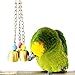 BWOGUE Bell Bird Toy Parrot Cage Toys Cages African Grey Amazon Cockatielthumb 2