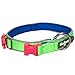 Blueberry Pet 4 Colors Soft & Comfy Summer Hope 3M Reflective Padded Dog Collar with O-Ring, Fluorescent Green, Small, Neck 12