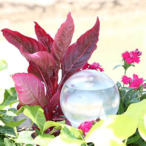 Automatic Watering Bulb - 3 Inch Small Plastic Gardening Vacation Solutions Self-Watering System Device Plant Globe For House Plants, Indoor Seeds Planter, Outdoor Pot Flowers Herbs (1, Translucent)