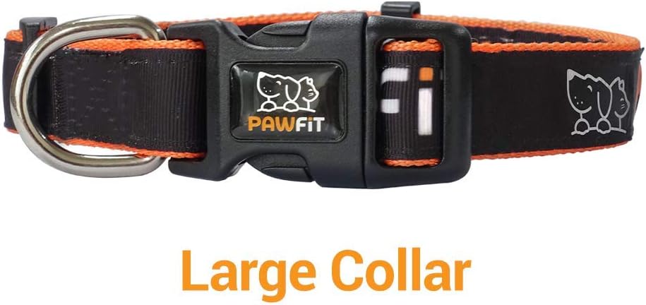Pawfit 3 Series Collar, Nylon Dog Collar with Safety Buckle, Adjustable Pet Collars with Quick Release Buckle (Black & Orange, Large) - Image 3