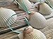 White Scallop Seashell Christmas Ornaments (Set of 10)