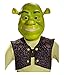 Shrek Child Mask