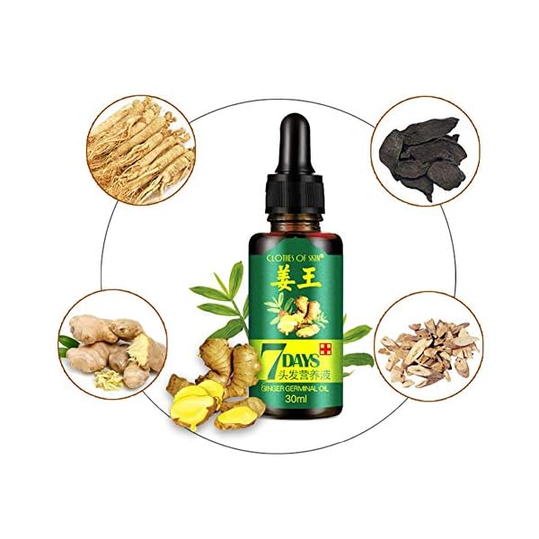 Ginger Germinal Oil, Hair Growth Oil, Hair Growth Serum, Ginger Germinal Essential Oil, Hair Loss Treatment Hair Care…