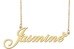 Personalized Custom Name Necklace Gold Silver Stainless Steel Heart Nameplate Pendant Graduation Jewelry for Womens Teens