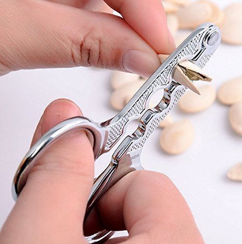 Efbock Stainless Steel Melon Seed Pliers Sunflower Seed Nut Pliers Scissor 1pcs