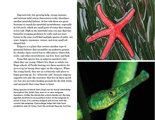 Explore the Salish Sea: A Nature Guide for Kids - Thumbnail 5