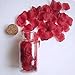 Supla 3000 Pcs Dark Red Silk Rose Petals 2