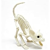 12" Cat Skeleton Halloween Decorations,Realistic Skull Animal Bones Decor | Plastic Animal Skeletons with Posable Joints for Outdoor Indoor Yard Garden Lawn Patio Halloween Party Favors Decor