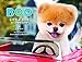 Boo: Little Dog in the Big City by