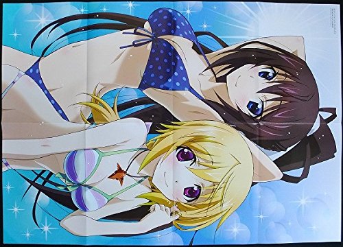 インフィニットストラトス 特大ポスター 篠ノ之箒 シャルロットデュノア シャル フランス代表候補性 Is ビキニ水着アニメの買取価格 相場 高価買取なら買取一括比較のウリドキ