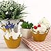 72pcs Gold Glitter Crown Cupcake Toppers and Wrappers for Baby Shower Birthday Wedding Party Decorations
