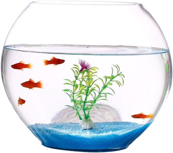 Glass Goldfish Bowl Fish Tank Desktop Mini Transparent Hydroponic