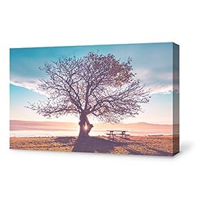 Canvas Wall Art Canvas Desert Alone Sky Painting Wall Poster Decor for Living Room Framed Home Decorations - 12x18 inches