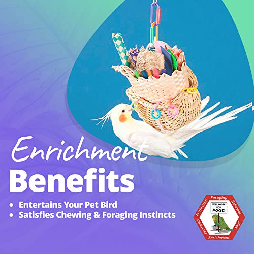 4 Super+Bird+Creations+5+Inch+Foraging