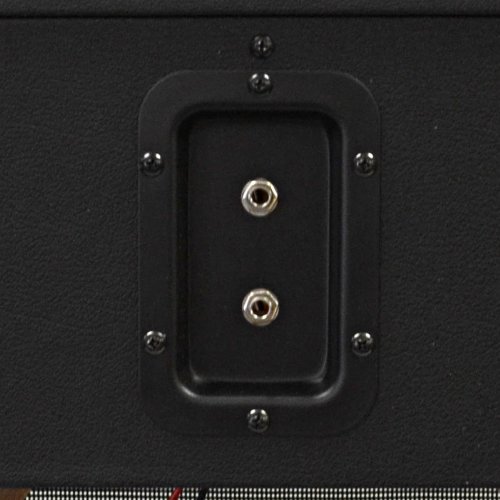 seismic guitar cabinet