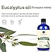 Lagunamoon Eucalyptus Essential Oil,Pure Natural Therapeutic Grade Aromatherapy Oils Large 4.5 fl Oz