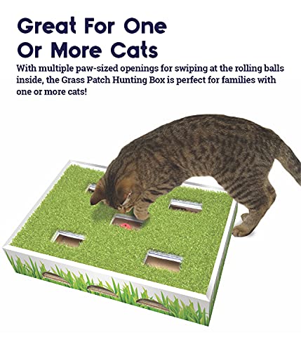 petstages grass patch hunting box
