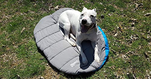 6 Chuckit+Travel+Bed+Comfort+Blue