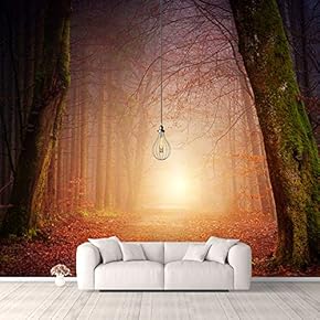 Wall Murals for Bedroom Beautiful Pictures Collection Removable Wallpaper Peel and Stick Wall Stickers - 66x96 inches