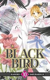 Black bird