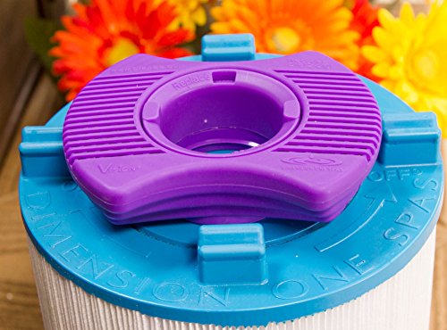 Dimension One Spas Vision Sanitizing System 01512-261 Vision Hot Tub Filter and Water Sanitizer