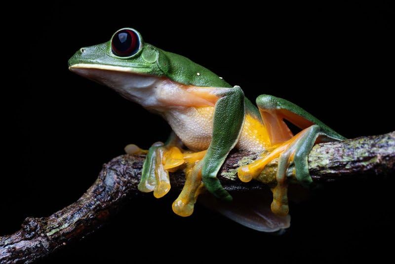 PLANET ERDE III - bekannt auch als ZDF-Reihe "Unsere Erde III" [Blu-ray] 10