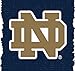 Duck Brand 240297 Notre Dame College Logo Duct Tape, 1.88-Inch by 10 Yards, Single Roll