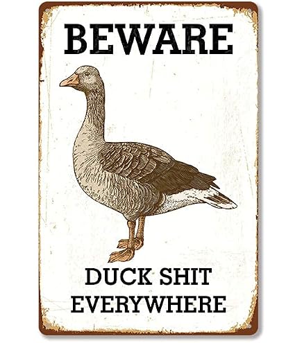 Rustic Farmhouse Duck Coop Sign - Metal Outdoor Decor 'There's Like A Lot Of Ducks In Here' 15.8x4 Inch - View #7