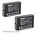 [Fully Decoded] Kastar DMW-BLD10 Battery (2-Pack) for Panasonic DMW-BLD10, DMW-BLD10E, DMW-BLD10PP, DE-A93B work for Panasonic Lumix DMC-G3, Panasonic Lumix DMC-GF2, Panasonic Lumix DMC-GX1 Cameras