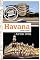 Livro Havana