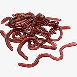Gejoy 16 Pieces Fake Earthworm Plastic Lifelike Worm Soft Stretchy Rubber Earthworms Trick Toy for Halloween April Fool's Day