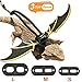 KUDES Adjustable Bearded Dragon Leather Harness Leash (S/M/L 3 Chest Pack) with Cool Wings for Lizard Reptiles Amphibians and Other Small Pet Animals