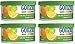 Gonzo Natural Magic Air Freshener Tin - 4 Pack - Citrus - Natural - Small Area - Home Car and Closet Air Freshener Odor Eliminator and Absorber