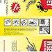 Victor M256 Poison-Free Insect Magnet Traps, 12-Pack