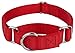 Country Brook Petz Martingale Dog Collar - Heavy-Duty Training Collar with No Buckle - Service Dog Collar for All Pups - Vibrant, Colorful Collection (Red, 1 Inch, Large)