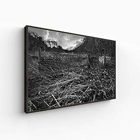 Canvas Wall Art for Living Room, Bedroom Monochrome Landscape Framed Canvas Prints for Home Decoration Ready to Hang - 16x24 inches