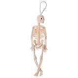 Richi Skeleton Human Model Skull Full Body Mini