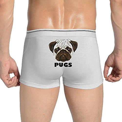 Curry J Yasha Cute Pugs Men's Custom Underwear Boxer Briefs