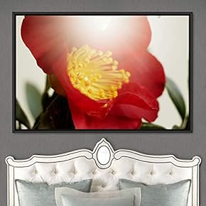 signwin Framed Canvas Wall Art Blooming Closeup Botanical...