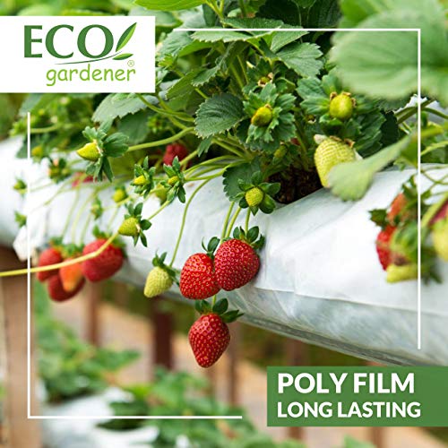 Black and White Poly Film - 10' x 50' 6mil, 4 Year UV Treated, Heavy Duty Polyethylene Sheeting by ECOgardener